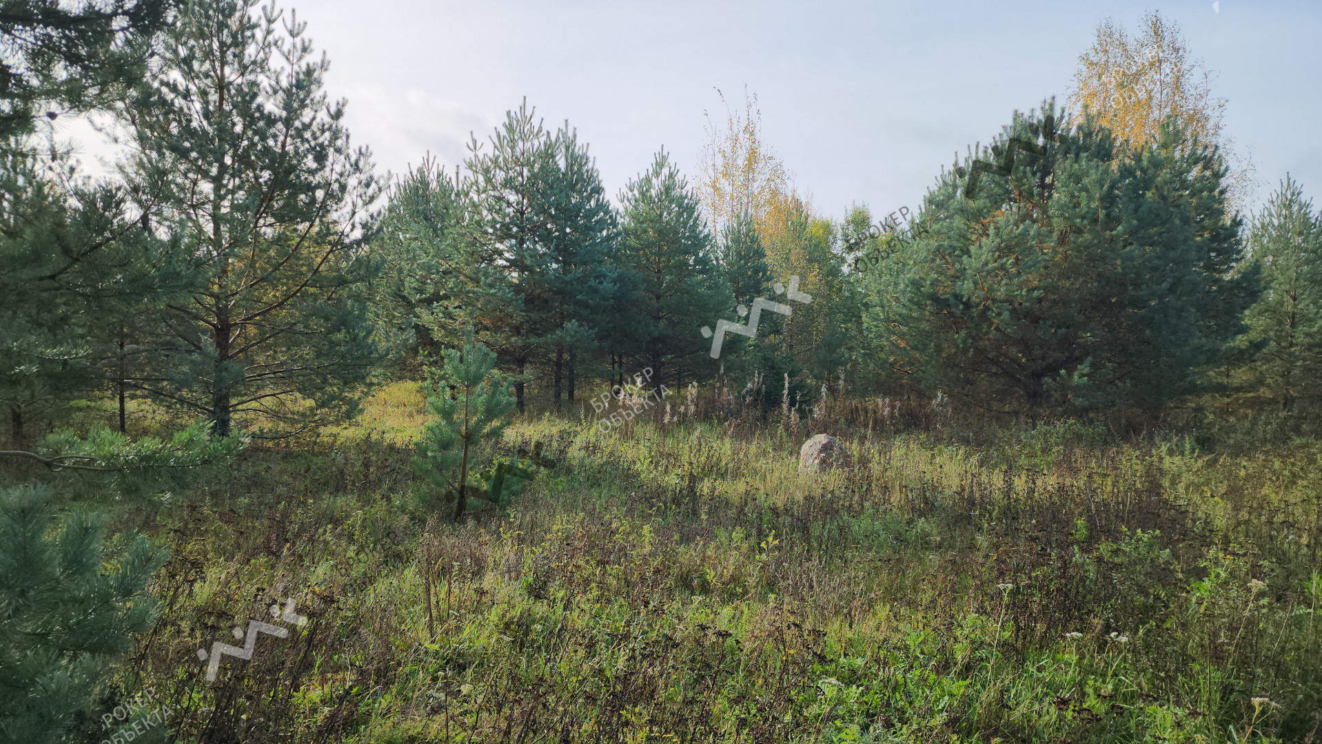 Фото объекта