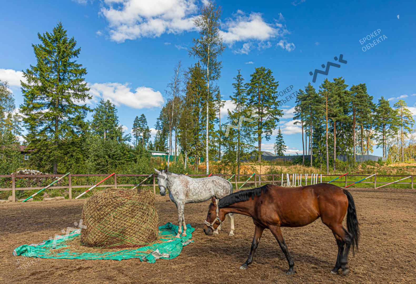 Фото объекта