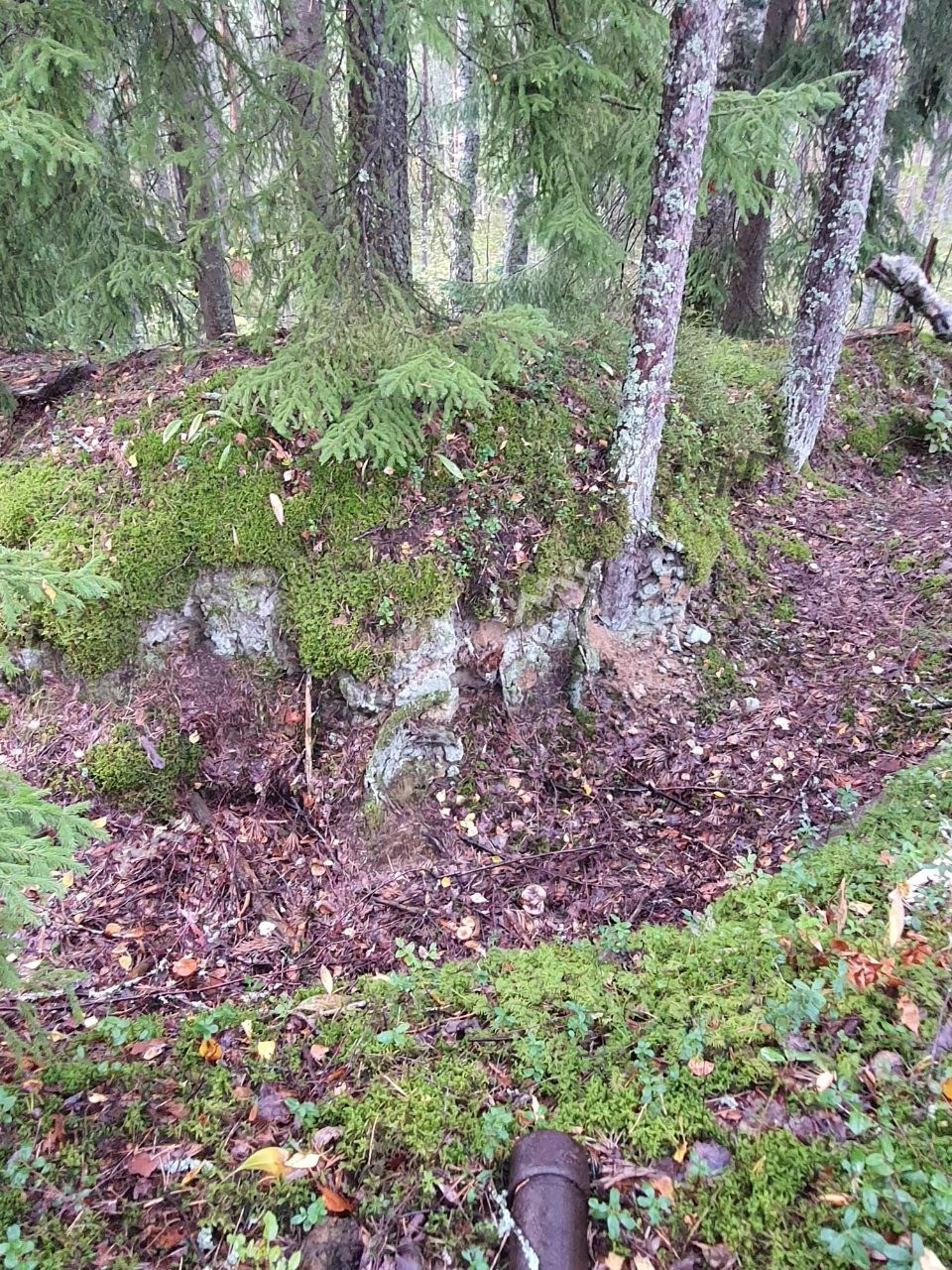 Фото объекта