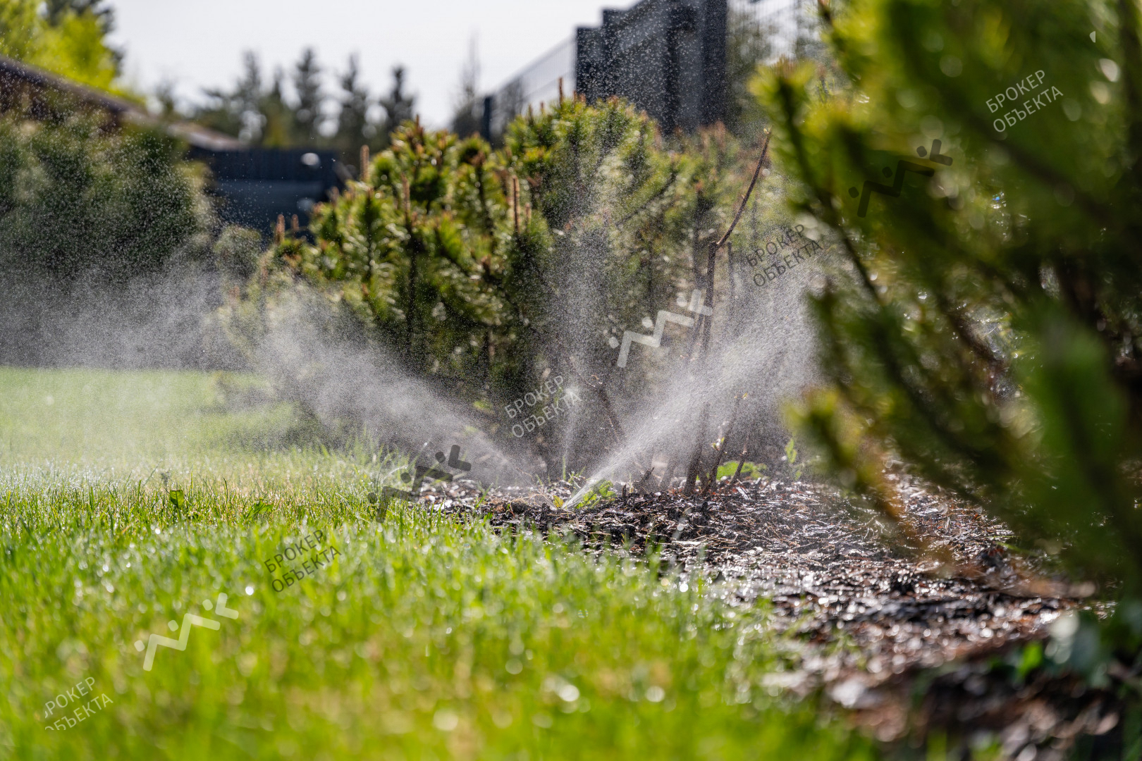 Фото объекта